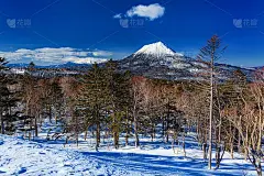 日本北海道的橡木山冬季景色