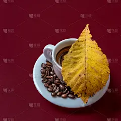 秋天,咖啡,叶子,黄色,胡桃树,烤咖啡豆,褐色,咖啡馆,无人,早晨
