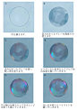 肥皂泡的画法 步骤 教学 教程