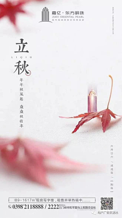 丫丫采集到创意海报