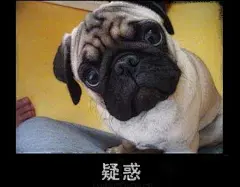 迷惑 表情包的搜索结果_百度图片搜索