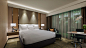 Superior King Guest Room