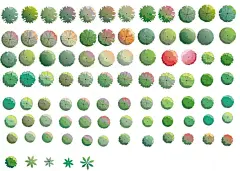 平面植物素材，笔刷+真实手绘单颗平面植物+平面小品【CPM002】
关注微信公众号：阅景观！！！
或点击图片，源文件下载链接，分享免费获取！！！
