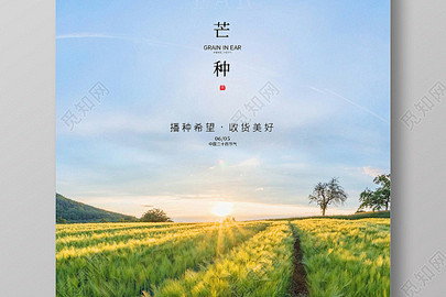 芒种海报设计-芒种设计模板下载-觅知网