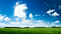 blue skies grass nature skyscapes wallpaper (#374025) / Wallbase.cc