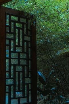 自此月长悬采集到小屋