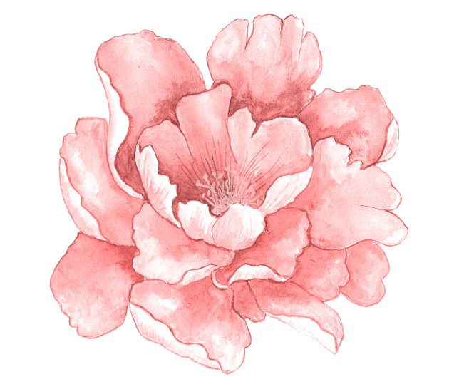 PNG素材#免抠图 # 花朵素材#
@冒...