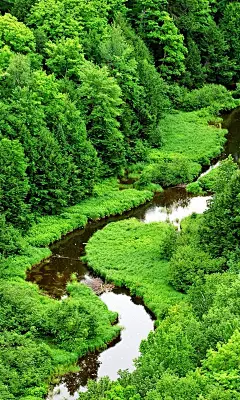 精美绿色风景手机壁纸_风景壁纸_手机壁纸_主题之家下载站