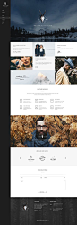 Hydrus Web Design Inspiration By Naughtyrobot: 