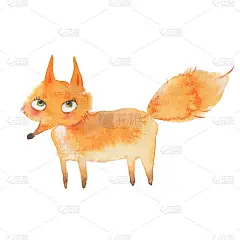 动物组。狐狸水彩插图，孤立在白色