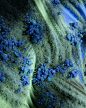 96914b124742477.610ac7aaa0541