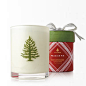 Frasier Fir Holiday Wood Wick Candle