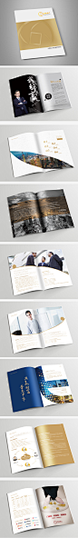 招商企业画册设计 执商手册 画册 金融 企业文化 架构 品牌 画册模板 素材 平面 