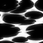 ef_wenli_LU_012