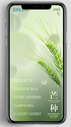 芒种节气