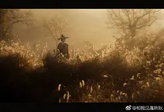 置顶 十步杀

一剑天山来去，风雨惯曾经

此恨谁能解，绝塞寄离情

出镜：@宣淑娅 @赵奕程 ...展开全文c