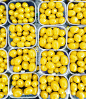 【黄色】Yellow