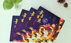 山东东方华创-画册实拍图