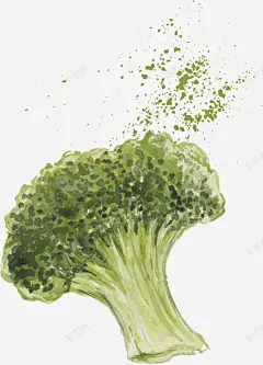 水墨花菜手绘简图 免费下载 页面网页 平面电商 创意素材