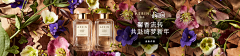 Candice-J采集到banner