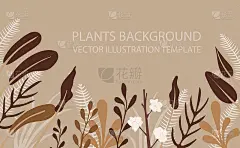 矢量花的背景，干花，最小的插图，抽象的背景模板。