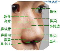 八月的彩虹采集到五官素材