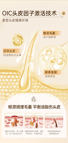 用户ZwzXy6Bz采集到主图版式