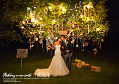 厦门婚纱摄影---时光流年采集到厦门婚纱摄影---夜的树