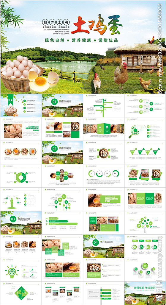 养鸡场生态养殖农家土鸡蛋ppt