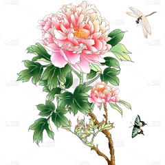 花瓣素材采集到【免抠】花卉元素
