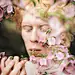 Person Standing in Front of Pink Petaled Flowers