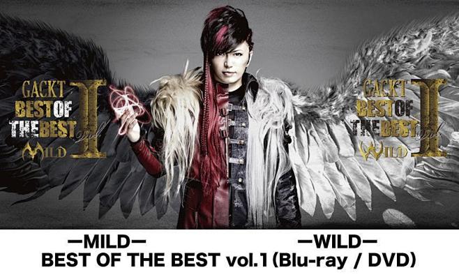 GACKT BEST OF THE BE...