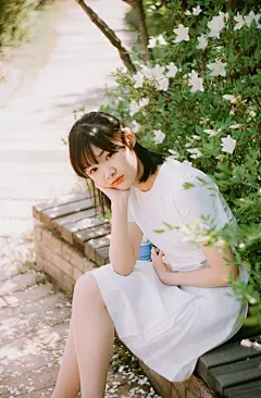 白茶 清欢 无别事、白茶、清欢、无别事