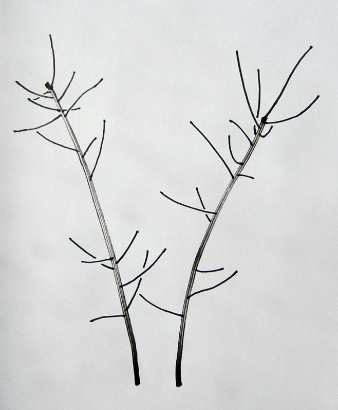 树杈yukihumi68676涂鸦王国插画