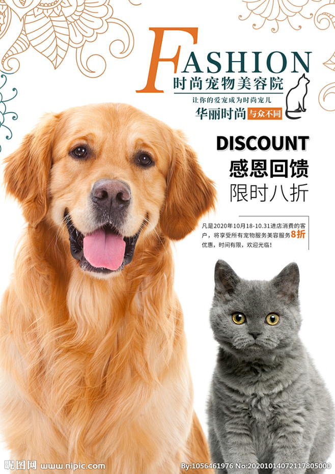 宠物店图片,宠物店模板下载,宠物医院 宠...