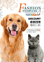 宠物店图片,宠物店模板下载,宠物医院 宠物医院展架 宠物 宠物医院壁画 宠物医生,宠物店设计素材,昵图网：图片共享和图片交易中心
