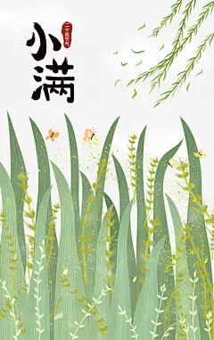 小满手绘植物元素高清素材 夏天 免费下载 页面网页 平面电商 创意素材 png素材