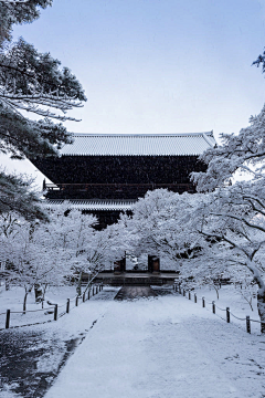 殇邪…采集到人在旅途