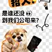 爆款吸睛大字梗图表情包小红书封面aig