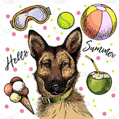 矢量肖像德国牧羊犬。你好，夏季卡通插图。椰子鸡尾酒，球，冰淇淋。手绘宠物肖像。海报，t恤，节日庆典，