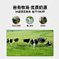 九峰牧场98%生牛乳微甜牛奶儿童学生营养早餐奶调制乳208ml*12瓶-tmall.com天猫