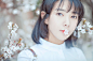 仿佛一声轻叹唤起我前世记忆，万缕柔情织成永恒的感动。如果一朵花开，相信你一定会来。