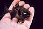 FLASHLIGHT FISH Photoblepharon palpebratus©courtneyplatt
From the Photographer: At 100 feet on a vertical  wall at night [in Grand Cayman], my buddy and I turned off our dive lights and scanned the  millions of bioluminescent lights for pairs that moved i