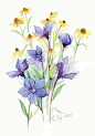 法国艺术家Anne-Marie Patry-Belluteau花与海的水彩画集。她的画风清丽细腻，暗香浮动与一碧万顷跃然纸上。 包含四个专辑《花》《海湾》《风景》《人像》 共收录129张图片。（画家主页：http://www.dessins-aquarelles.com/）