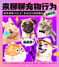 【闲鱼专业训犬师来科普啦？！来会玩康康这些宠物行为吧！】噔噔噔！会玩萌宠 萌主来啦VOL.2 来啦！快登录闲鱼会玩萌宠涨知识吧！有训犬师对狗狗行为专业科普，也有各位铲屎官、养宠达人们的经验分享！还可以康康萌宠“表情包”、搞怪的奇葩瞬间、哭笑不得的奇特行为，忍不了！忍！不！了！如果你自 ​​​​...展开全文c