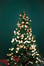 bigbigwork.webp (13)