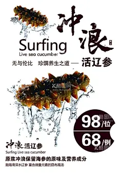 海参  - 源文件下载【酷图网】海参,冲浪,酒店海报,海参图片,原味海参,