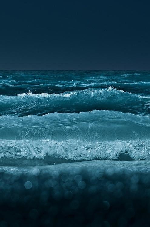 海