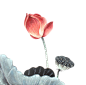 3061ef94814e9eff5aaf2a390f4cf22f