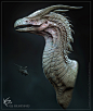 Behance :: 为您呈现